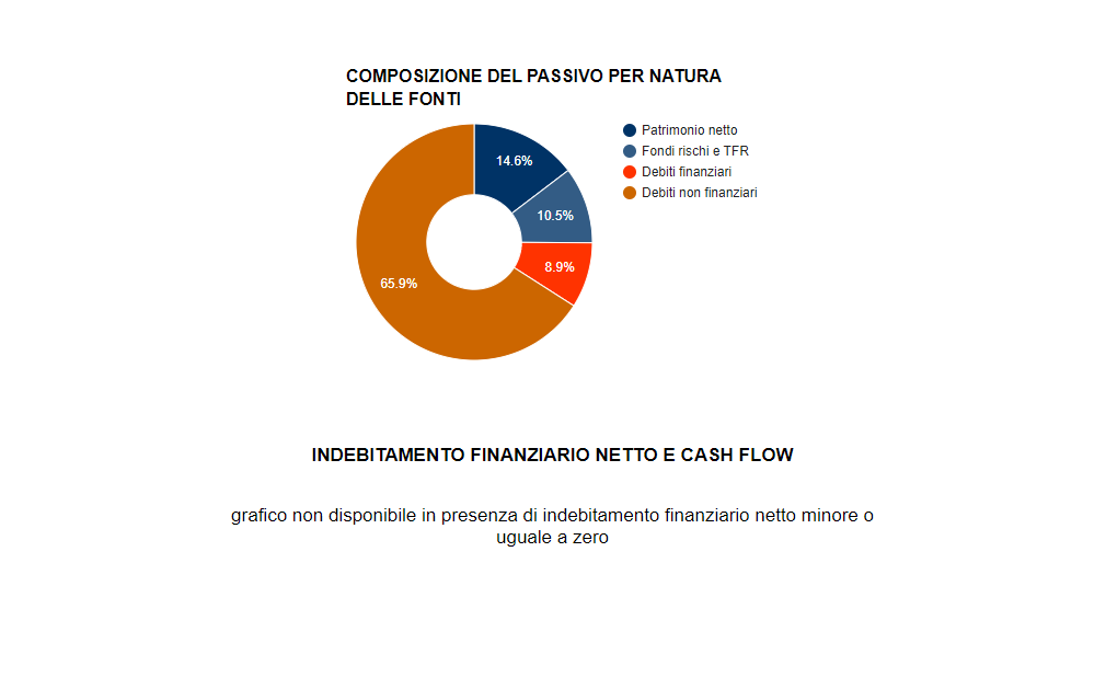 analisi di bilancio ETS - grafico altro 2